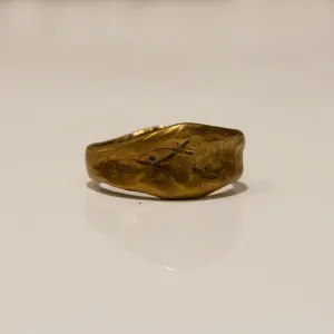 Pesci Che Volano - Siracusa Ring